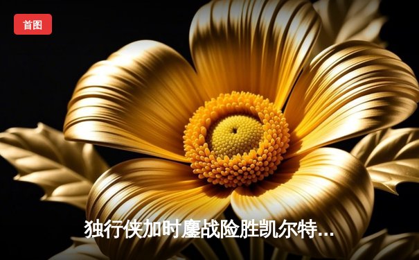 独行侠加时鏖战险胜凯尔特人，东契奇三双率队捍卫主场